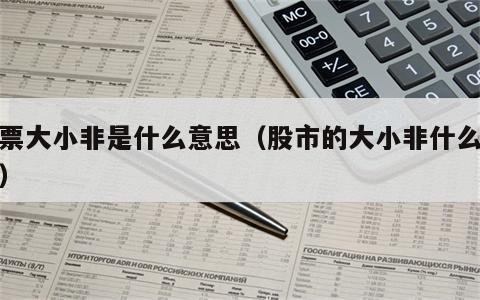 股票大小非是什么意思（股市的大小非什么意思）
