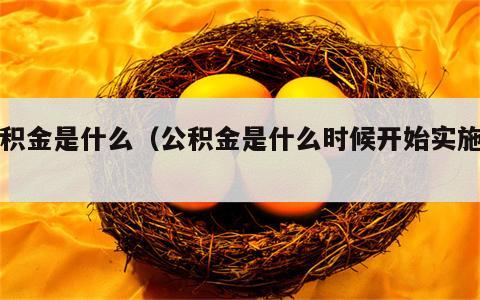 公积金是什么（公积金是什么时候开始实施的）