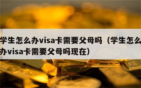 学生怎么办visa卡需要父母吗（学生怎么办visa卡需要父母吗现在）