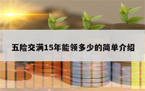 五险交满15年能领多少的简单介绍