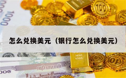 怎么兑换美元（银行怎么兑换美元）