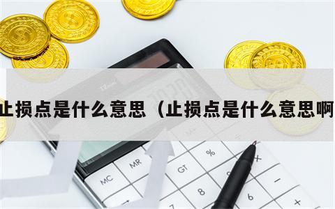 止损点是什么意思（止损点是什么意思啊）