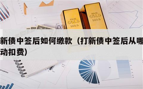 打新债中签后如何缴款（打新债中签后从哪里自动扣费）