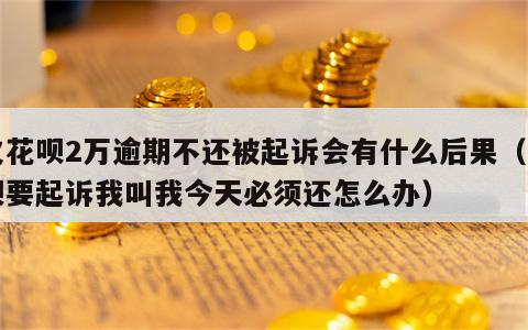 欠花呗2万逾期不还被起诉会有什么后果（花呗要起诉我叫我今天必须还怎么办）