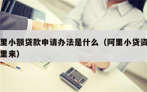 阿里小额贷款申请办法是什么（阿里小贷资金哪里来）