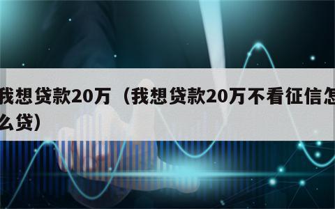 我想贷款20万（我想贷款20万不看征信怎么贷）