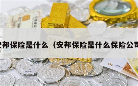 安邦保险是什么（安邦保险是什么保险公司）