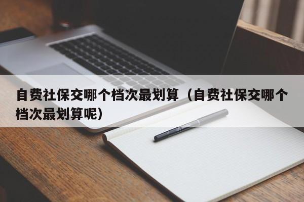 自费社保交哪个档次最划算（自费社保交哪个档次最划算呢）
