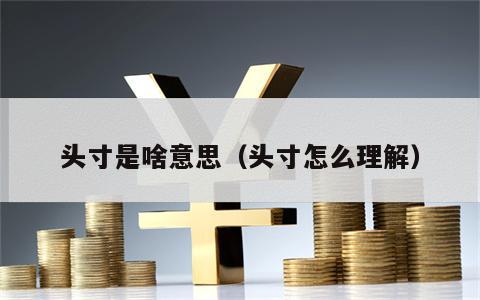 头寸是啥意思（头寸怎么理解）