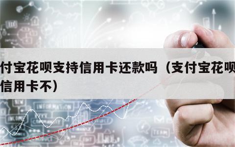 支付宝花呗支持信用卡还款吗（支付宝花呗能还信用卡不）