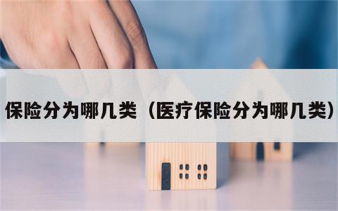 保险分为哪几类（医疗保险分为哪几类）