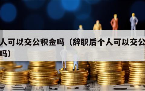 个人可以交公积金吗（辞职后个人可以交公积金吗）