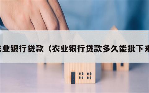 农业银行贷款（农业银行贷款多久能批下来）