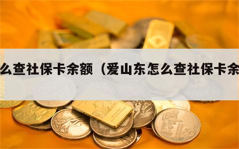 怎么查社保卡余额（爱山东怎么查社保卡余额）