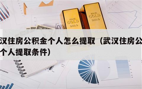 武汉住房公积金个人怎么提取（武汉住房公积金个人提取条件）