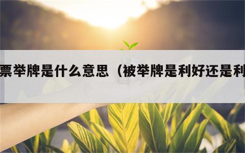 股票举牌是什么意思（被举牌是利好还是利空）