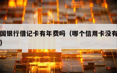 中国银行借记卡有年费吗（哪个信用卡没有年费）