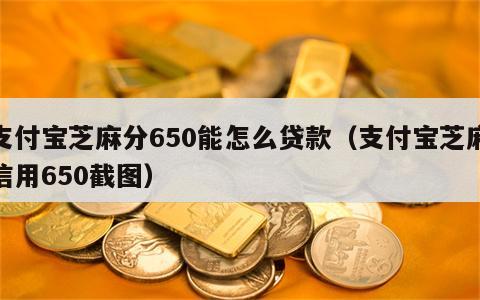 支付宝芝麻分650能怎么贷款（支付宝芝麻信用650截图）