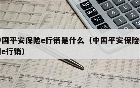 中国平安保险e行销是什么（中国平安保险公司e行销）