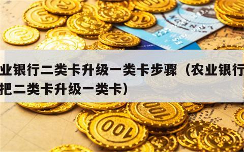 农业银行二类卡升级一类卡步骤（农业银行怎样把二类卡升级一类卡）