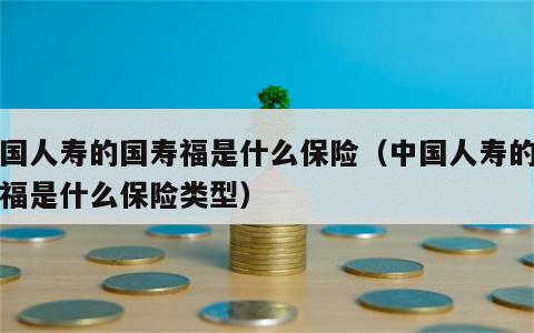 中国人寿的国寿福是什么保险（中国人寿的国寿福是什么保险类型）