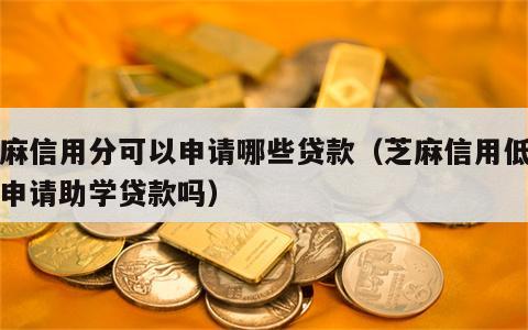 芝麻信用分可以申请哪些贷款（芝麻信用低可以申请助学贷款吗）