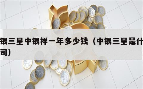 中银三星中银祥一年多少钱（中银三星是什么公司）