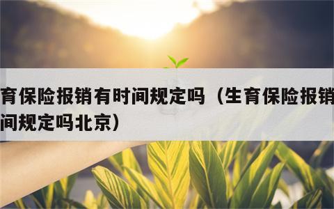 生育保险报销有时间规定吗（生育保险报销有时间规定吗北京）