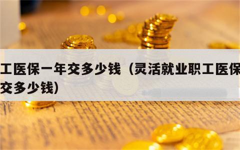 职工医保一年交多少钱（灵活就业职工医保一年交多少钱）