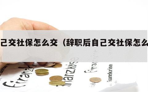 自己交社保怎么交（辞职后自己交社保怎么交）