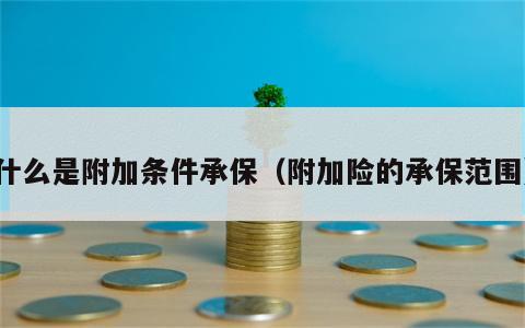 什么是附加条件承保（附加险的承保范围）