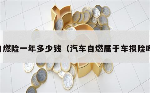 自燃险一年多少钱（汽车自燃属于车损险吗）