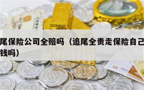 追尾保险公司全赔吗（追尾全责走保险自己要给钱吗）