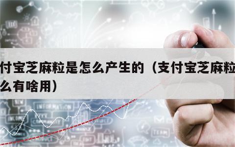 支付宝芝麻粒是怎么产生的（支付宝芝麻粒是什么有啥用）