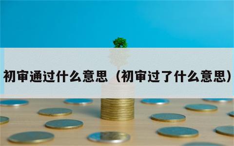 初审通过什么意思（初审过了什么意思）
