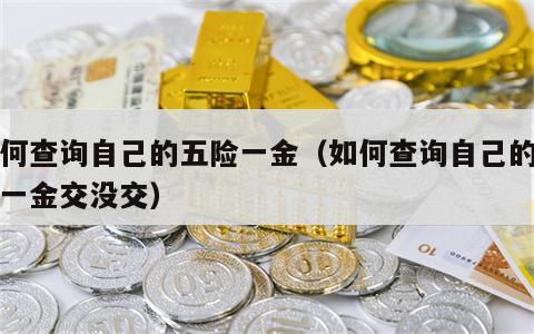 如何查询自己的五险一金（如何查询自己的五险一金交没交）