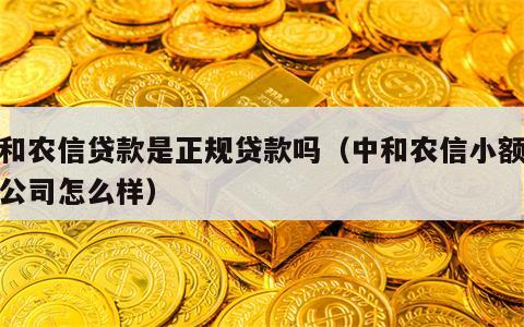 中和农信贷款是正规贷款吗（中和农信小额贷款公司怎么样）
