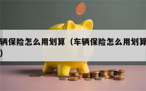 车辆保险怎么用划算（车辆保险怎么用划算一点）