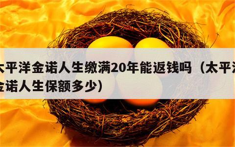 太平洋金诺人生缴满20年能返钱吗（太平洋金诺人生保额多少）