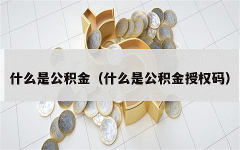 什么是公积金（什么是公积金授权码）