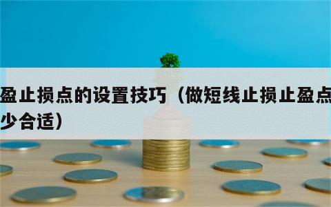 止盈止损点的设置技巧（做短线止损止盈点设多少合适）