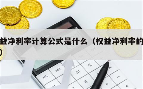 权益净利率计算公式是什么（权益净利率的公式）