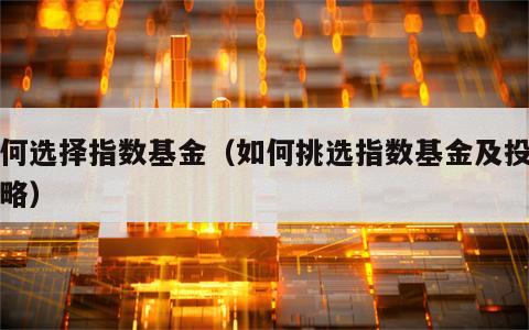 如何选择指数基金（如何挑选指数基金及投资策略）