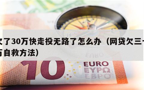 欠了30万快走投无路了怎么办（网贷欠三十万自救方法）