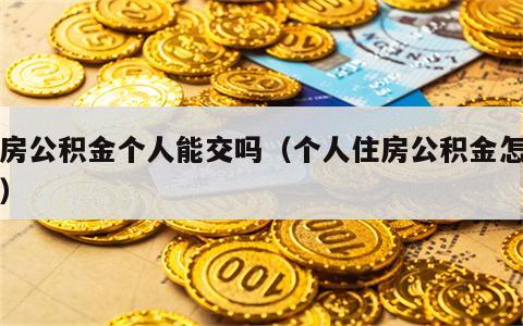 住房公积金个人能交吗（个人住房公积金怎么交）