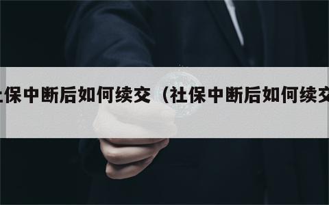 社保中断后如何续交（社保中断后如何续交?）