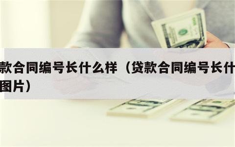 贷款合同编号长什么样（贷款合同编号长什么样图片）