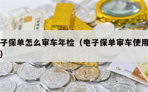 电子保单怎么审车年检（电子保单审车使用方法）