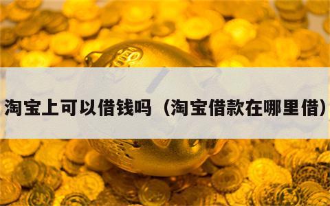 淘宝上可以借钱吗（淘宝借款在哪里借）