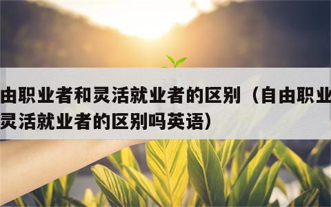 自由职业者和灵活就业者的区别（自由职业者和灵活就业者的区别吗英语）
